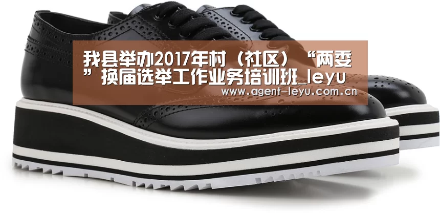 我县举办2017年村(社区)“两委”换届选举工作业务培训班_leyu(图1) 乐鱼体育链接