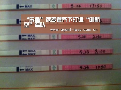 乐鱼体育链接