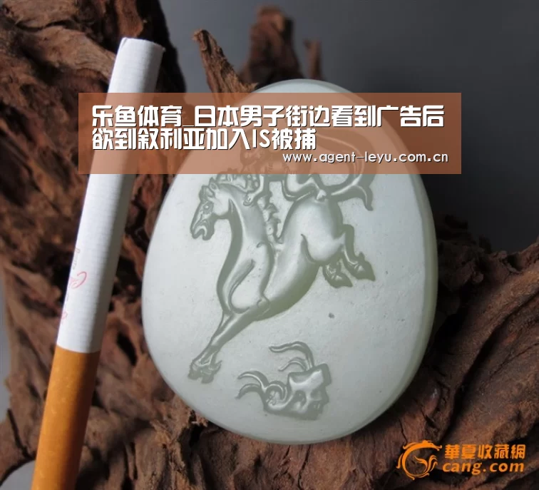乐鱼