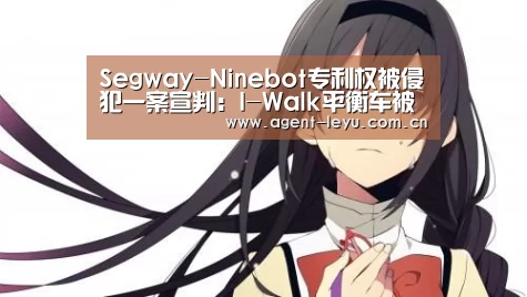 Segway-Ninebot专利权被侵犯一案宣判:I-Walk平衡车被判停止销售“乐鱼体育”(图4) 乐鱼体育