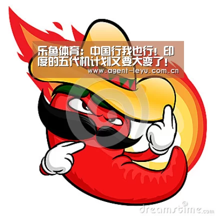 乐鱼体育:中国行我也行!印度的五代机计划又要大变了!(图2) 乐鱼