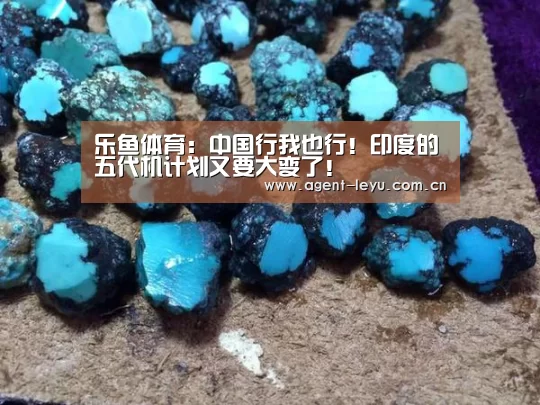 乐鱼体育:中国行我也行!印度的五代机计划又要大变了!(图3) 乐鱼