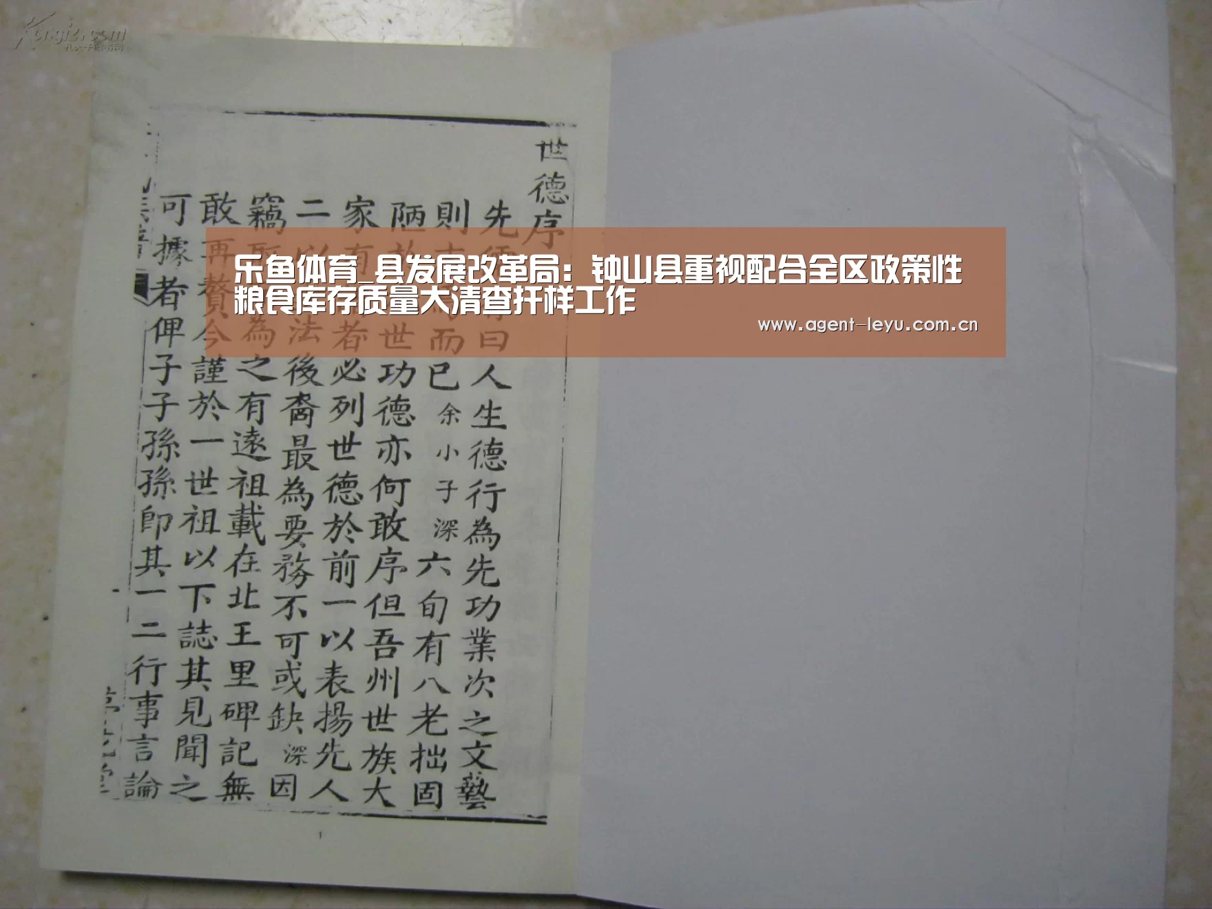 乐鱼体育_县发展改革局:钟山县重视配合全区政策性粮食库存质量大清查扦样工作(图1) 乐鱼