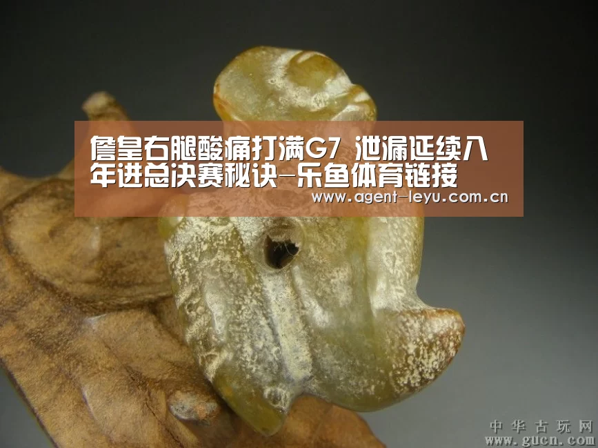 乐鱼