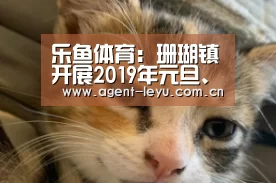 乐鱼体育:珊瑚镇开展2019年元旦、春节计划生育流动人口留守老人、妇女、儿童慰问活动(图2) 乐鱼体育:珊瑚镇开展2019年元旦、春节计划生育流动人口留守老人、妇女、儿童慰问活动(图2)